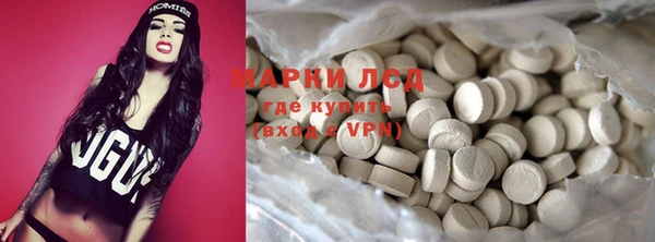 ешки Аркадак