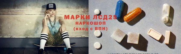 ешки Аркадак