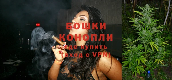ешки Аркадак