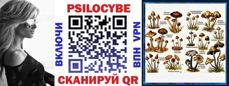 Галлюциногенные грибы мицелий  Саки 