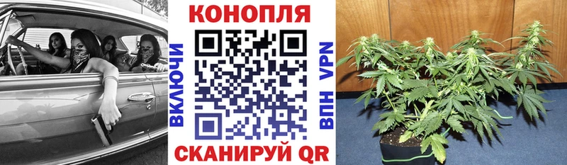 цена   мега маркетплейс  Шишки марихуана тримм  Саки 